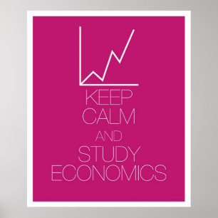 Keep Calm and Study Economics Poster