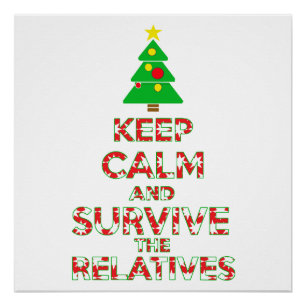 Keep Calm And Survive The Relatives Poster