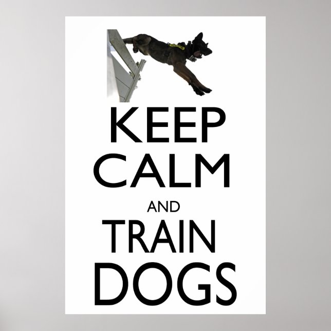 Keep Calm and Train Dogs Poster (Front)