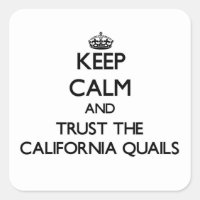 Keep calm and Trust the California Quails