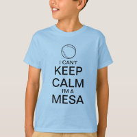 Keep Calm | Baseball T-Shirt