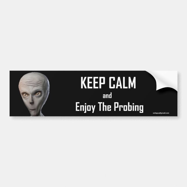 Keep Calm Bumper Sticker (Front)