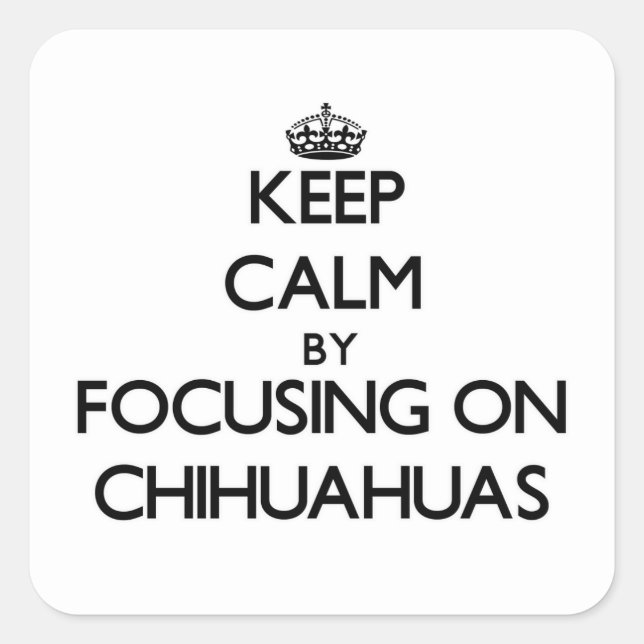 Keep Calm by focusing on Chihuahuas Square Sticker (Front)