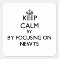 Keep calm by focusing on Newts