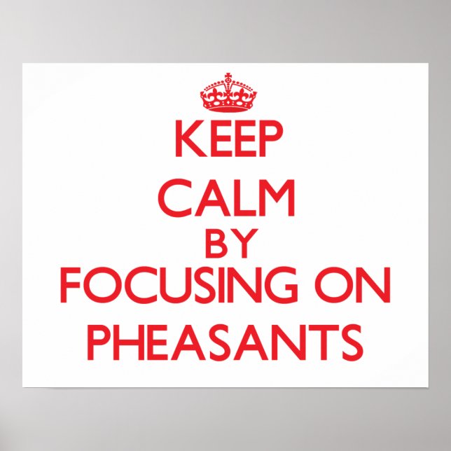 Keep calm by focusing on Pheasants Poster (Front)