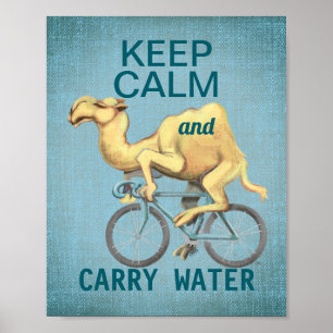 keep calm camel motivational poster