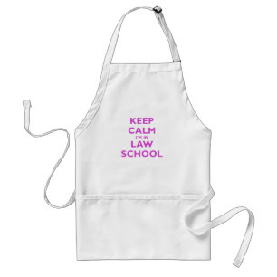 Keep Calm Im in Law School Standard Apron