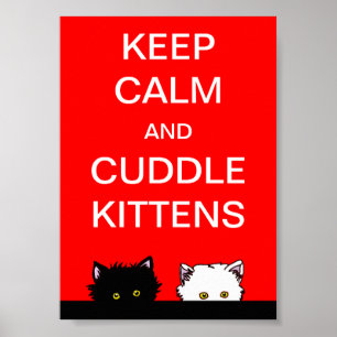 Keep Calm Kittens Poster
