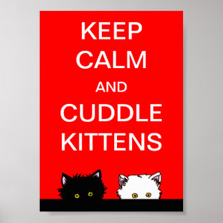 Keep Calm Kittens Poster