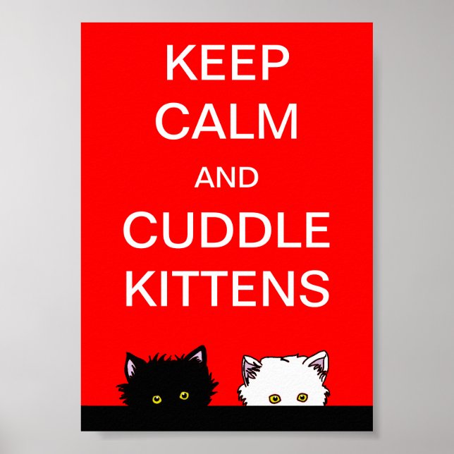 Keep Calm Kittens Poster (Front)