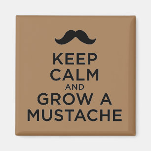 Keep calm magnet