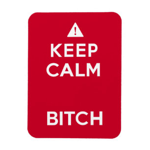 Keep Calm Parody Funny Magnet