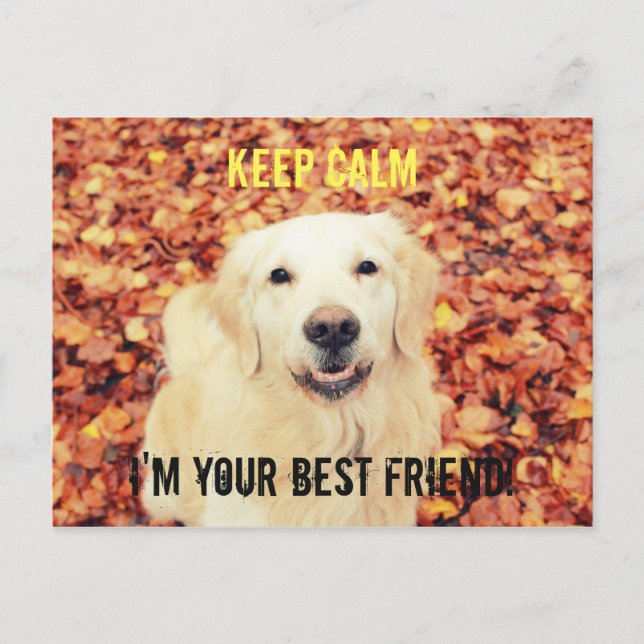 KEEP CALM Postcard for dogs lovers (Front)
