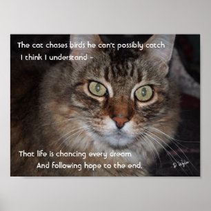 Keep Chasing Dreams Poster