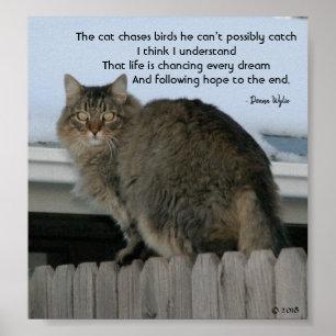 Keep Chasing Dreams Poster