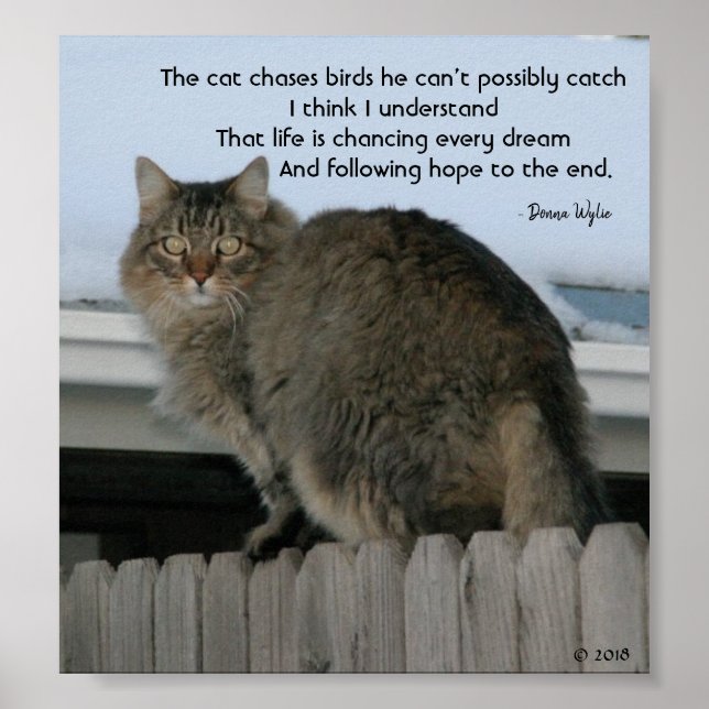 Keep Chasing Dreams Poster (Front)