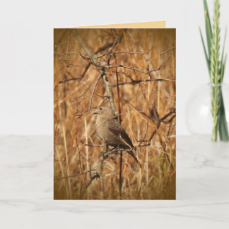 Keep in Touch with a Nature-loving Friend! Card