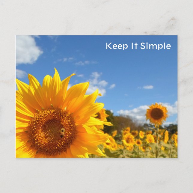 Keep It Simple with sunflowers Postcard (Front)