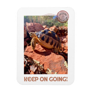 Keep on Going Inspirational coddiwompling Tortoise Magnet