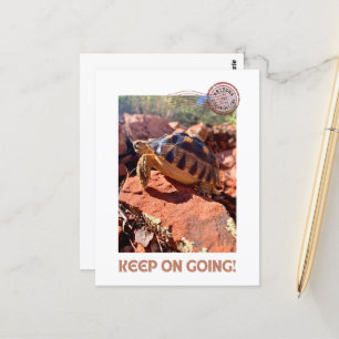 Keep on Going Inspirational coddiwompling Tortoise Postcard