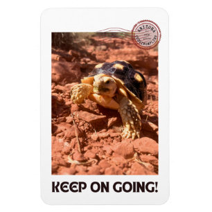 Keep on Going Inspirational coddiwompling Turtle Magnet