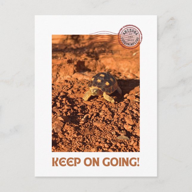 Keep on Going Motivational coddiwompling Tortoise Postcard (Front)