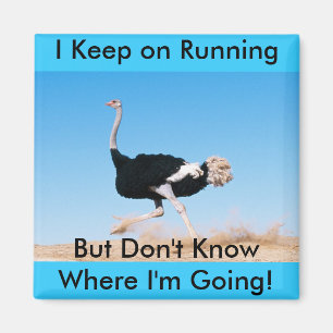 Keep on Running Ostrich Magnet