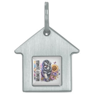 Keep or Add Your Pet Photo ID Tag