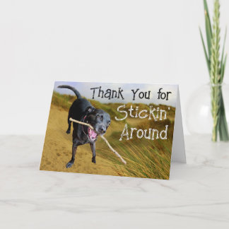 Keep Stickin' Around Thank You Card