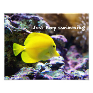 Keep Swimming Motivational Photo Print