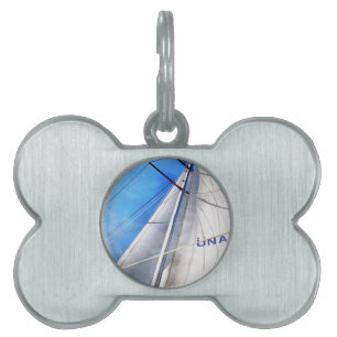 Keep The Wind In Your Sails Acrylic Art Pet Tag