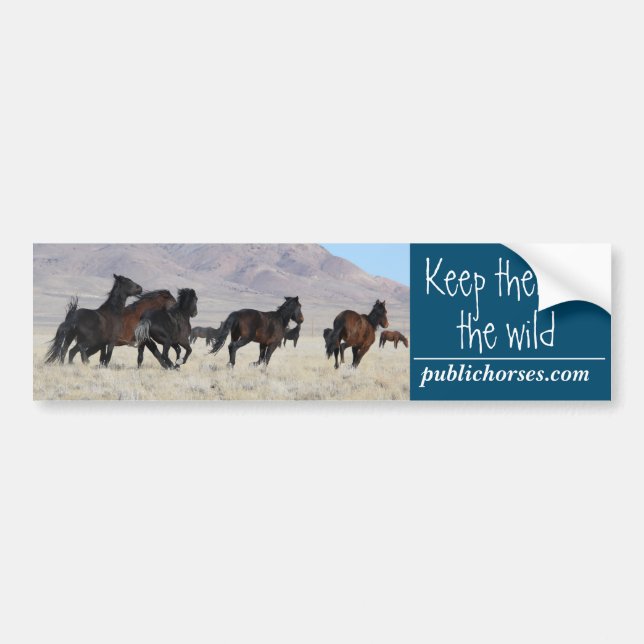 Keep Them In The Wild Bumper Sticker (Front)
