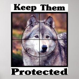 Keep them Protected - Wolf Poster