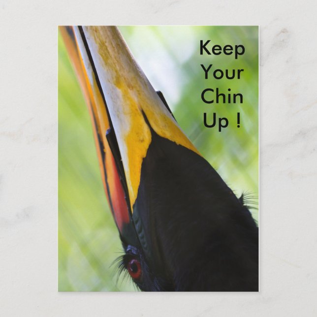 Keep your chin up, postcard (Front)