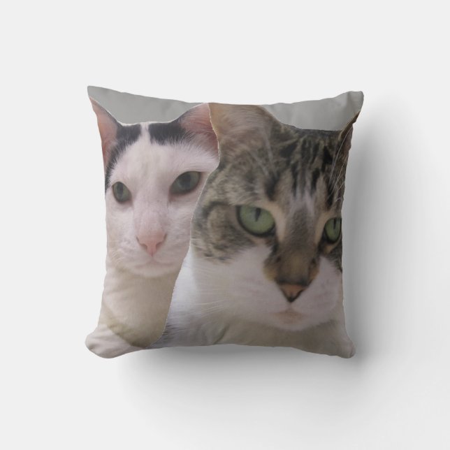 Keep Your Friends Close and Enemies Closer Cats Cushion (Front)