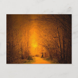Keeper of Light Postcard