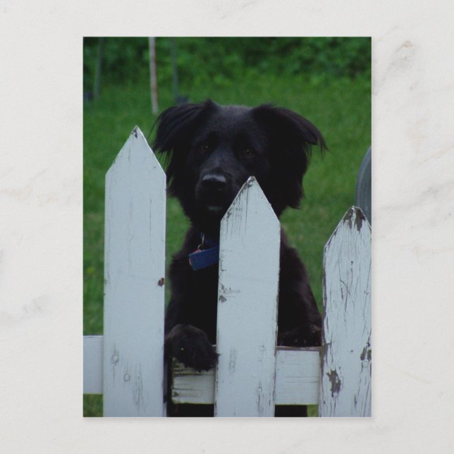 keeping an eye out postcard (Front)