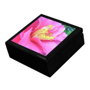 Keepsake Box - Full Bloom Dark Pink Camellia