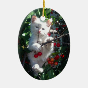 Keepsake Family Cat 1 Sided Photo Ceramic Ornament
