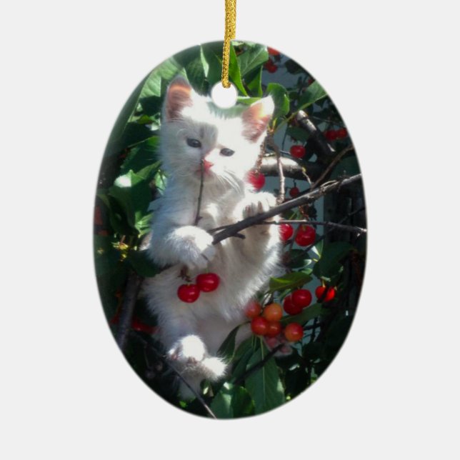 Keepsake Family Cat 2 Sided Photo Ceramic Ornament (Front)