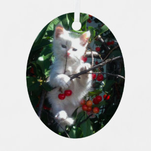 Keepsake Family Cat Photo Metal Tree Decoration