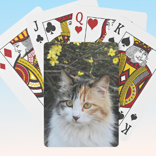 Keepsake Full Photo Excellent Quality Kitty Playing Cards