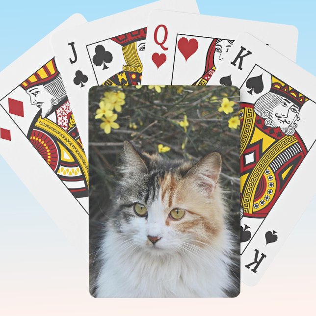 Keepsake Full Photo Excellent Quality Kitty Playing Cards (Creator Uploaded)