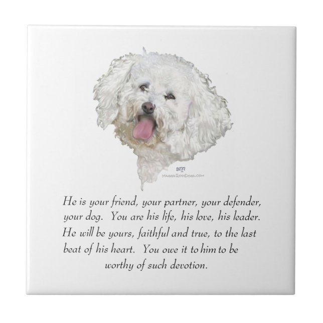 Keepsake, Male Dog Ceramic Tile (Front)