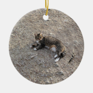 Keepsake Ornament: Tabby Cat with White Feet Ceramic Ornament