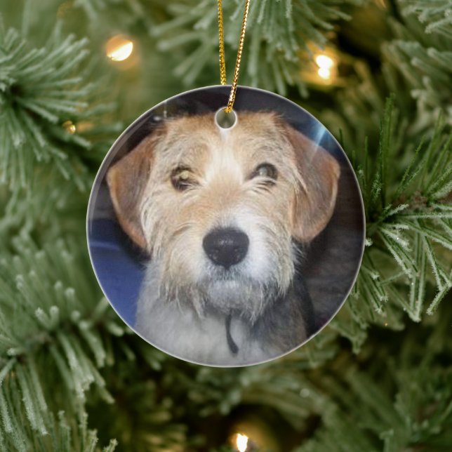 KEEPSAKE PET PHOTO With Typography Ornament (Tree)