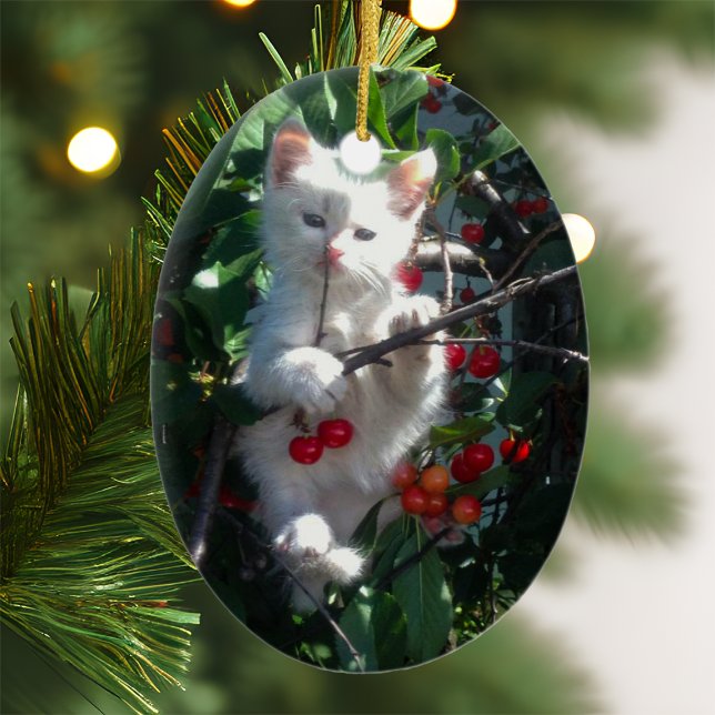 Keepsake Photo Ceramic Tree Decoration (Creator Uploaded)
