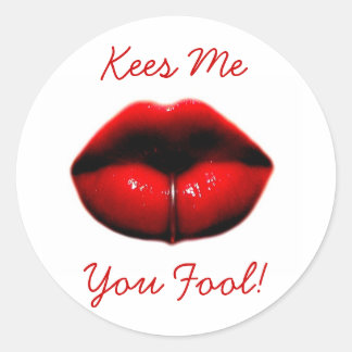 Kees Me You Fool! Classic Round Sticker