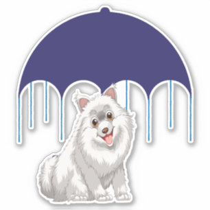 Keeshond