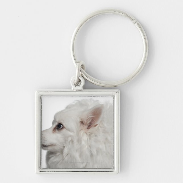 Keeshond (10 years old) close-up key ring (Front)